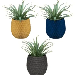 New FLOURISH Aloe pot colore