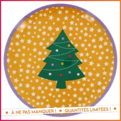 Hot Assiette melamine 25cm - 6 ass