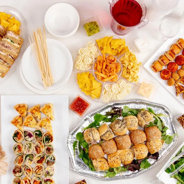 CELEBRATE Assiettes d23cm x30 en carton bl