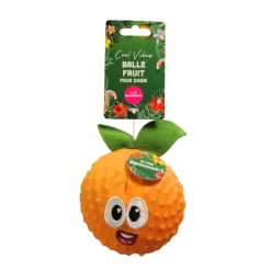 Sale COOL VIBES Balle fruit pour chien