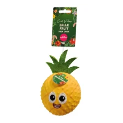 Sale COOL VIBES Balle fruit pour chien