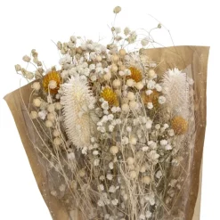 Best Bouquet fleurs sechees