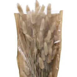 Clearance Bouquet lagurus