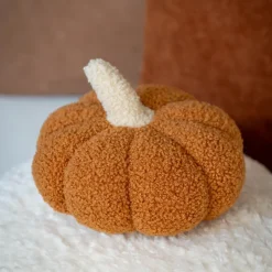 COSY SEASON Citrouille deco