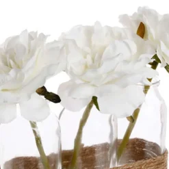 Outlet Compo soliflores x3