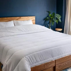 Hot COLAS NORMAND Couette 260x240 anti punaise ant