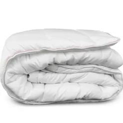 Sale COLAS NORMAND Couette 220x240 anti punaise ant