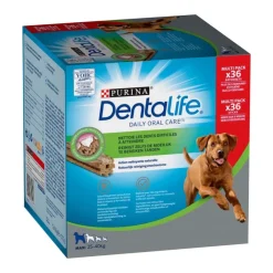 Hot Dentalife multipack large x36