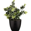 Clearance FLOURISH Eucalyptus artificiel en pot