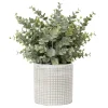 Discount FLOURISH Eucalyptus artificiel en pot