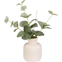 Clearance FLOURISH Eucalyptus dans vase