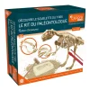 Best Explora paleontologue - stegosau