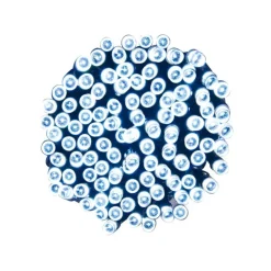 Best Guirlande 400 led blanc froid