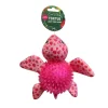Best COOL VIBES Jouet tortue pour chien
