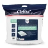 Clearance COLAS NORMAND Lot 2 oreillers 60x60 anti punai