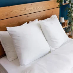 Clearance COLAS NORMAND Lot 2 oreillers 60x60 anti punai