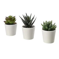 Discount SIMPLY Lot 3 succulentes artificielles