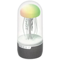 Clearance Lumiere meduse et enceinte bluet