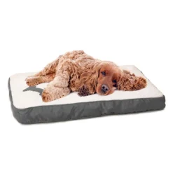 Clearance HUND Matelas pour chien gris 100x70cm