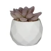 Online FLOURISH Mini succulente artificielle