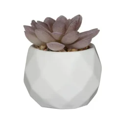 Online FLOURISH Mini succulente artificielle