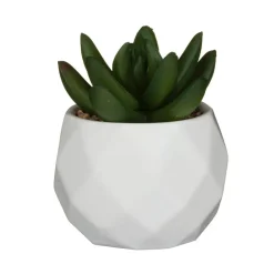 Online FLOURISH Mini succulente artificielle