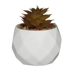 Online FLOURISH Mini succulente artificielle