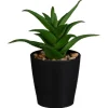 Clearance FLOURISH Mini succulente dans pot noir