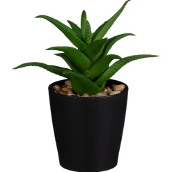 Clearance FLOURISH Mini succulente dans pot noir