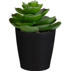 Clearance FLOURISH Mini succulente dans pot noir