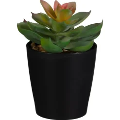 Clearance FLOURISH Mini succulente dans pot noir