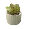 Discount FLOURISH Mini succulente pot strie