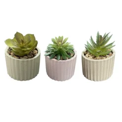 Discount FLOURISH Mini succulente pot strie