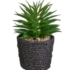 Discount FLOURISH Mini succulente pot tresse