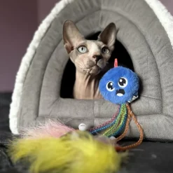 Clearance NERF pieuvre avec poche a herbe