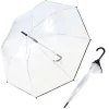 Best Parapluie long transparent