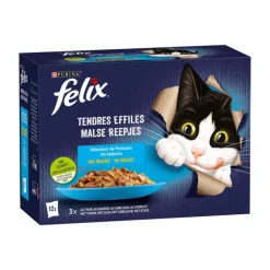 Online FELIX Patee effiles poissons