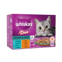 Outlet Patee terre et mer en gele