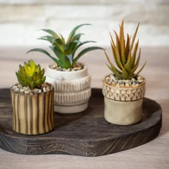 WARM HEAVEN Petite plante ceramique