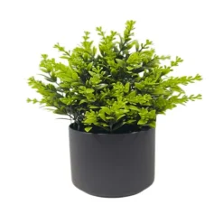 Online FLOURISH Plante en pot