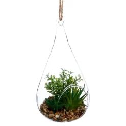 Clearance Plante goutte verre