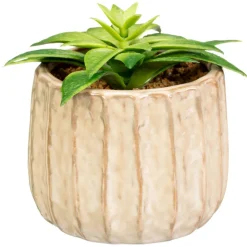 Clearance WARM HEAVEN Plante grasse pot ceramique