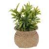 Hot Plante panier jiling