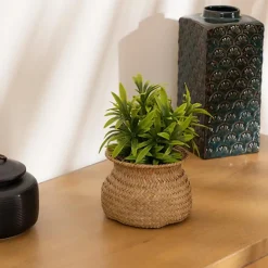 Hot Plante panier jiling