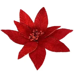 Clearance Poinsettia rouge
