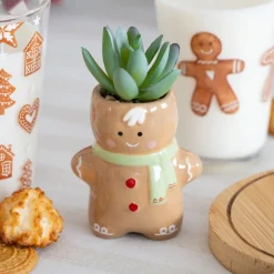 Clearance Pot de plante noel