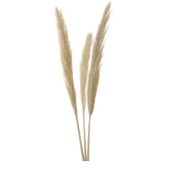 Outlet Roseau sauvage 115cm x3