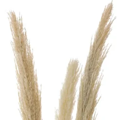 Outlet Roseau sauvage 115cm x3