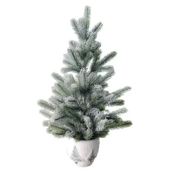 Discount Sapin en pot 66 cm