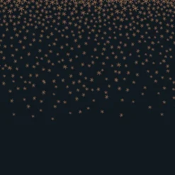 Best Serviette x20 paillettes noir or